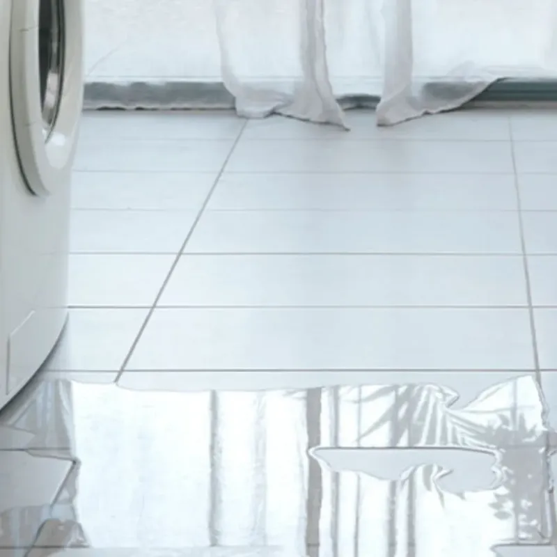 Appliance Leak Cleanup in Auburn, NH
