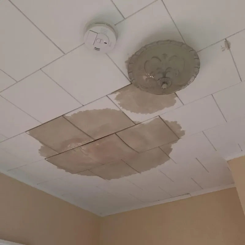 Ceiling Water Damage Repair in Auburn, NH