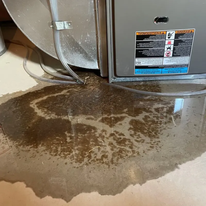 Pipe Burst and Leak Restoration in Auburn, NH